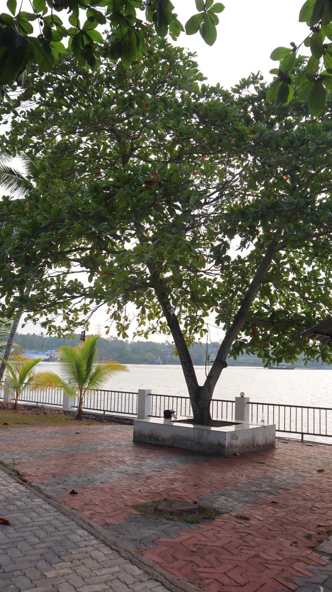 Ripples Service Villas Kollam Extérieur photo