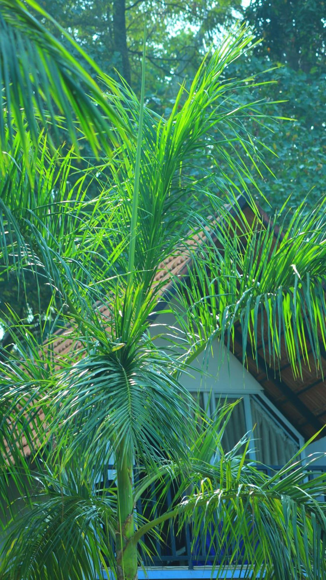 Ripples Service Villas Kollam Extérieur photo
